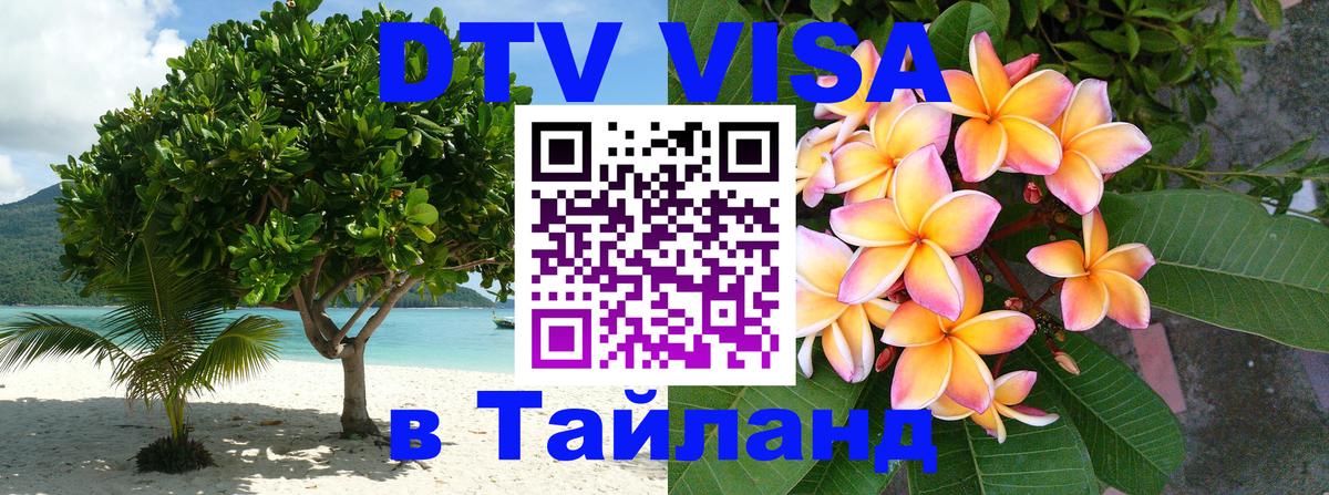 Сколько стоит DTV виза — актуальные цены, оформление даже без документов - Дакка 